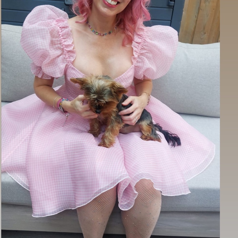 Selkie Pink Gingham Dress - Picture 4 of 9